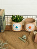 YO!GREEN|YO!GREEN|男款|礼品|YO!GREEN 限定新年礼物Nsmileypot笑脸花盆_蓝鼻子
